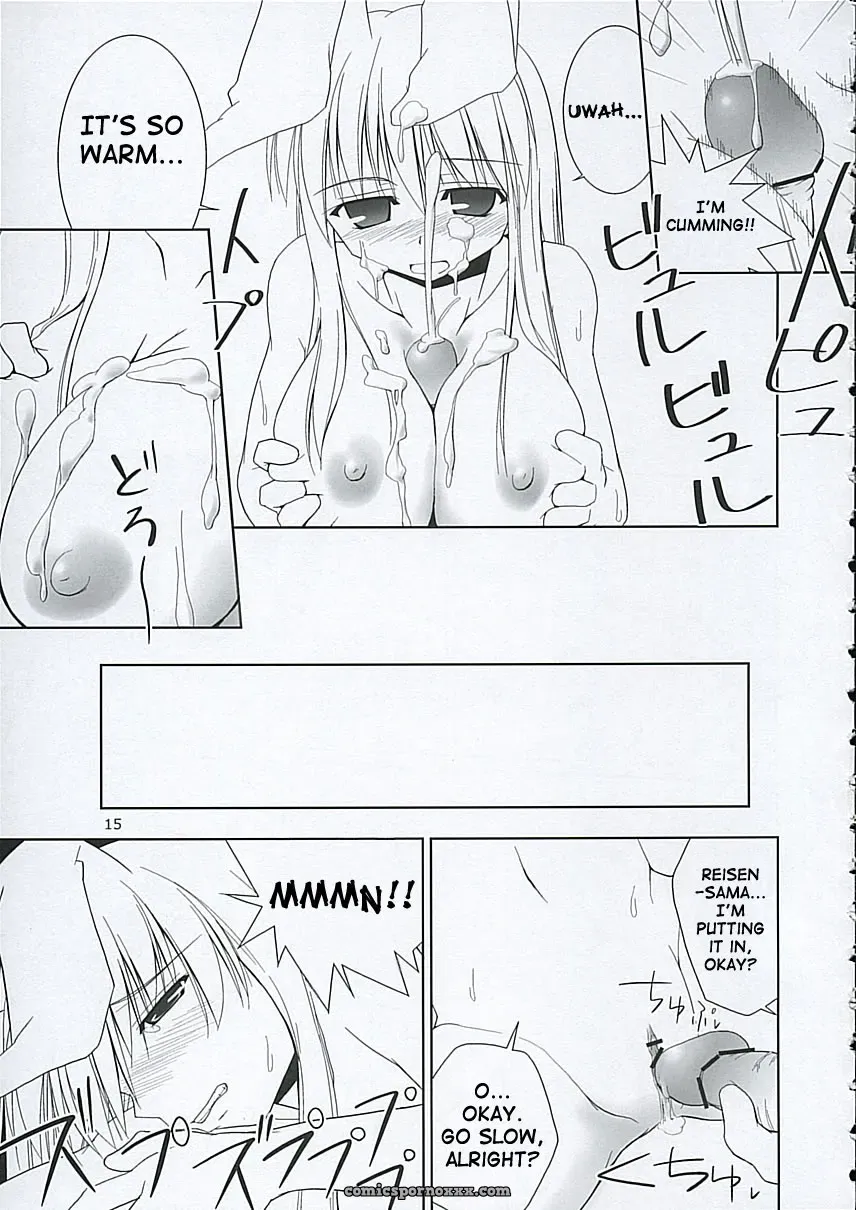 “C68 Toybox: Jacky, Kurikara Inaba Box Touhou SaHa” - Page 14