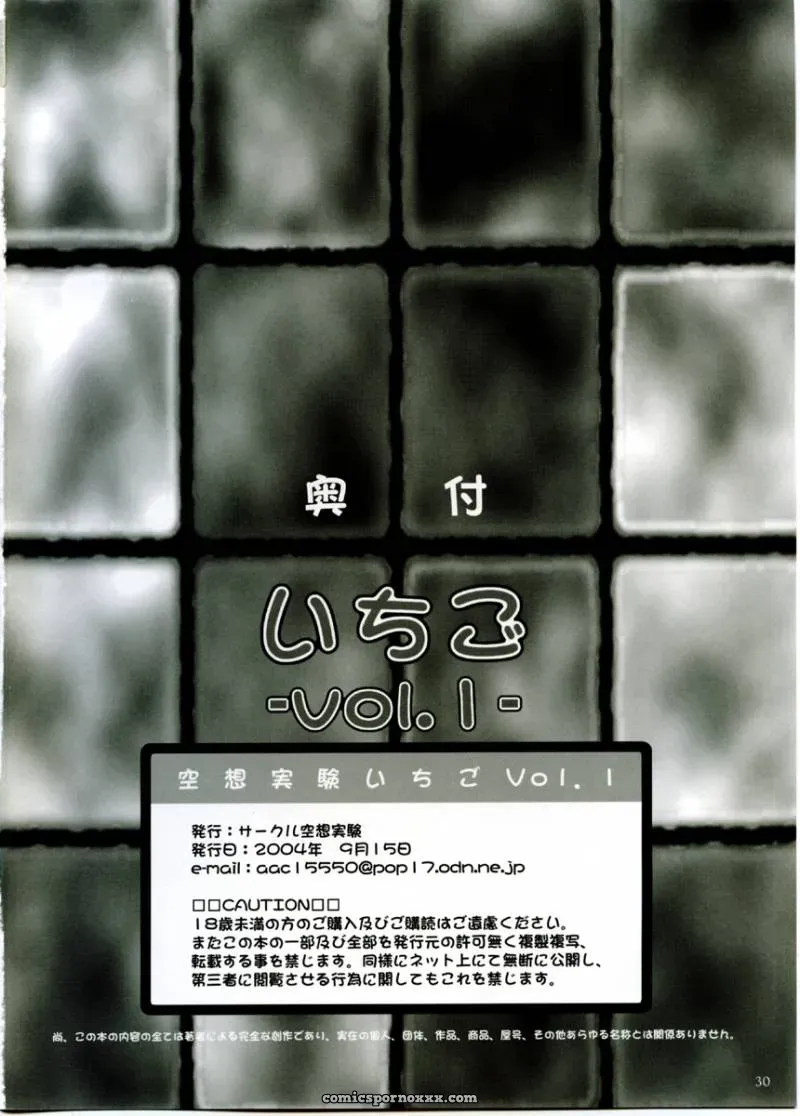 Circle Kuusou Zikken Munehito Ichigo Vol. 1 (Ichigo 100%) - Page 28