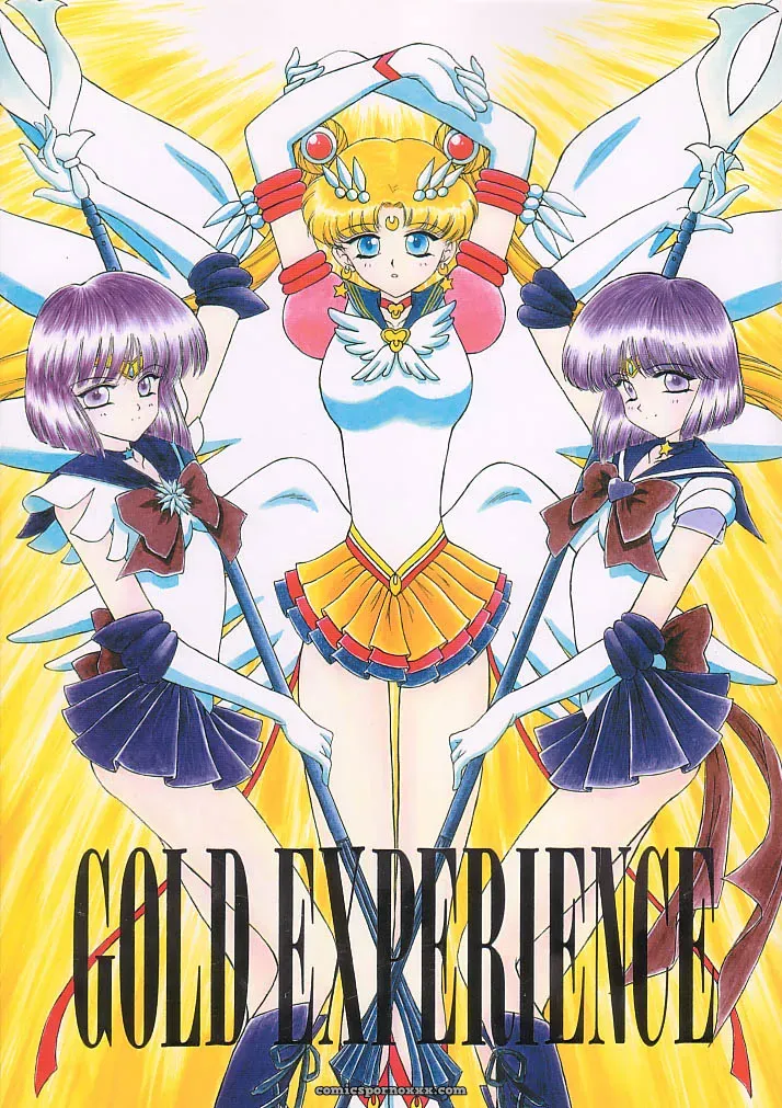 Black Dog Gold Experience: Bishoujo Senshi Sailor Moon - Page 1