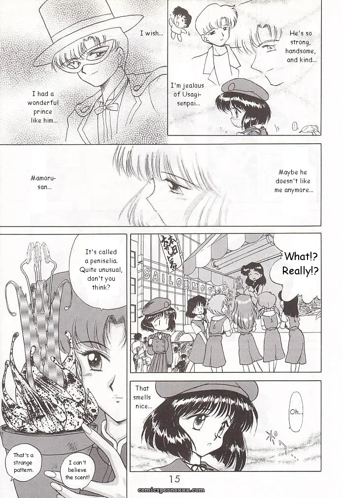 Black Dog Gold Experience: Bishoujo Senshi Sailor Moon - Page 14