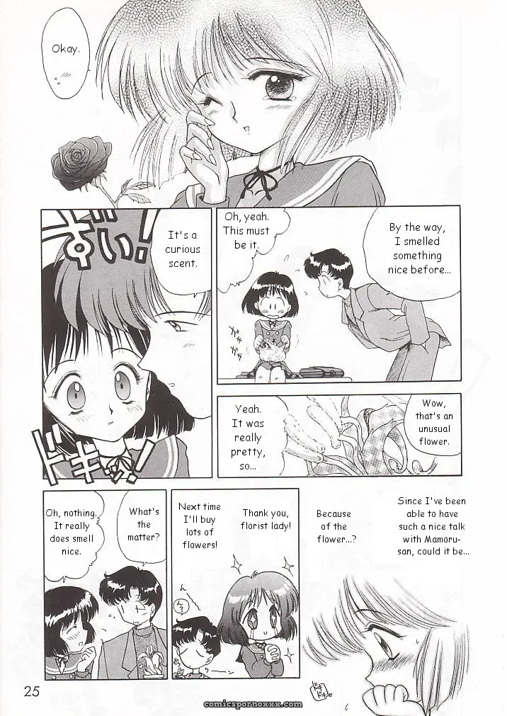 Black Dog Gold Experience: Bishoujo Senshi Sailor Moon - Page 24