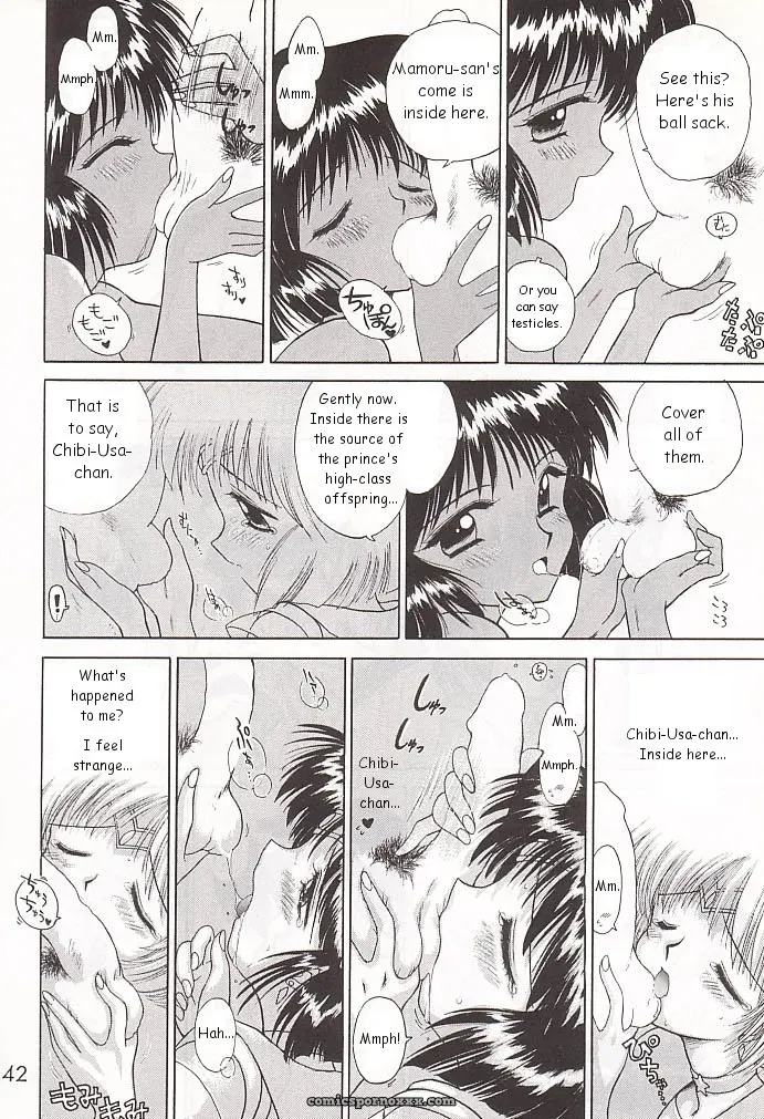 Black Dog Gold Experience: Bishoujo Senshi Sailor Moon - Page 41