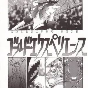 Black Dog Gold Experience: Bishoujo Senshi Sailor Moon - Page 2