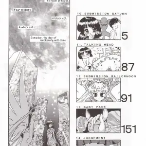 Black Dog Gold Experience: Bishoujo Senshi Sailor Moon - Page 3