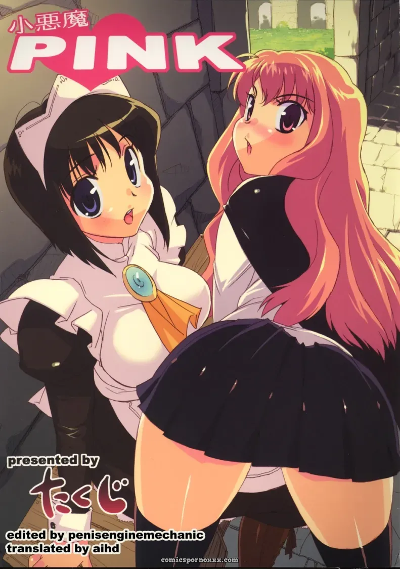 Koakuma PINK (Zero no Tsukaima) Studio Wallaby Takuji Aihd - Page 1