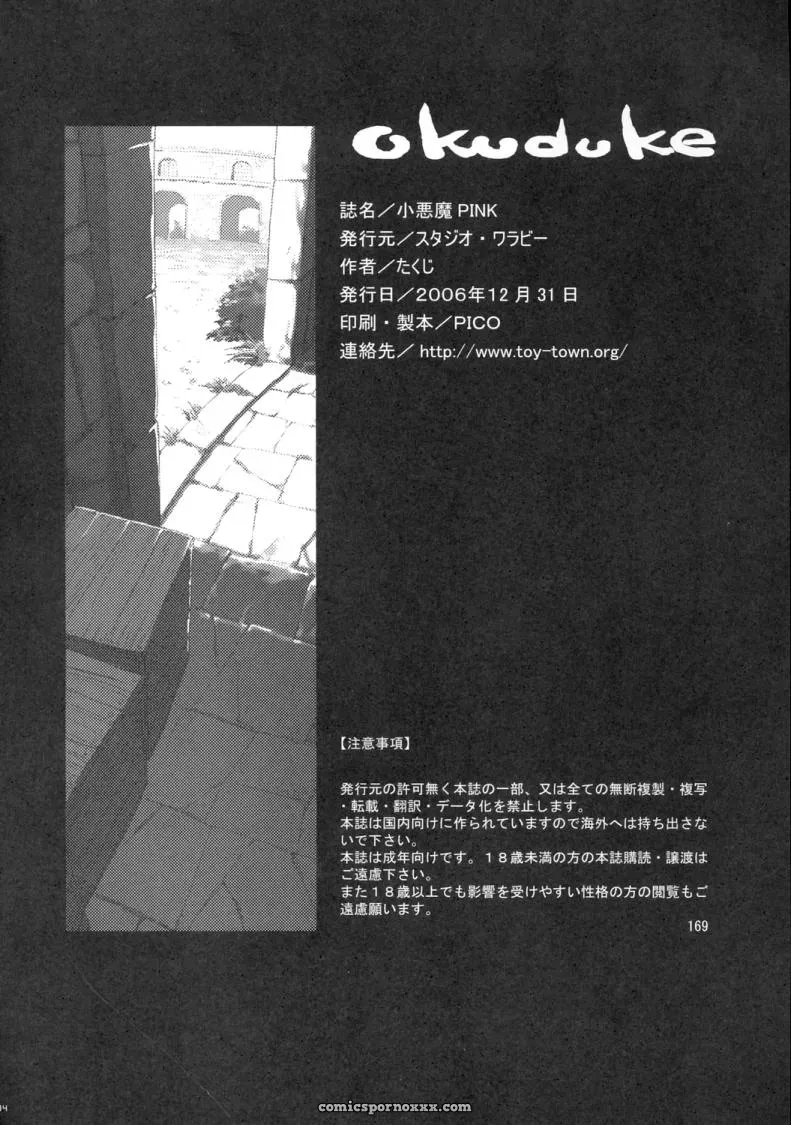 Koakuma PINK (Zero no Tsukaima) Studio Wallaby Takuji Aihd - Page 33