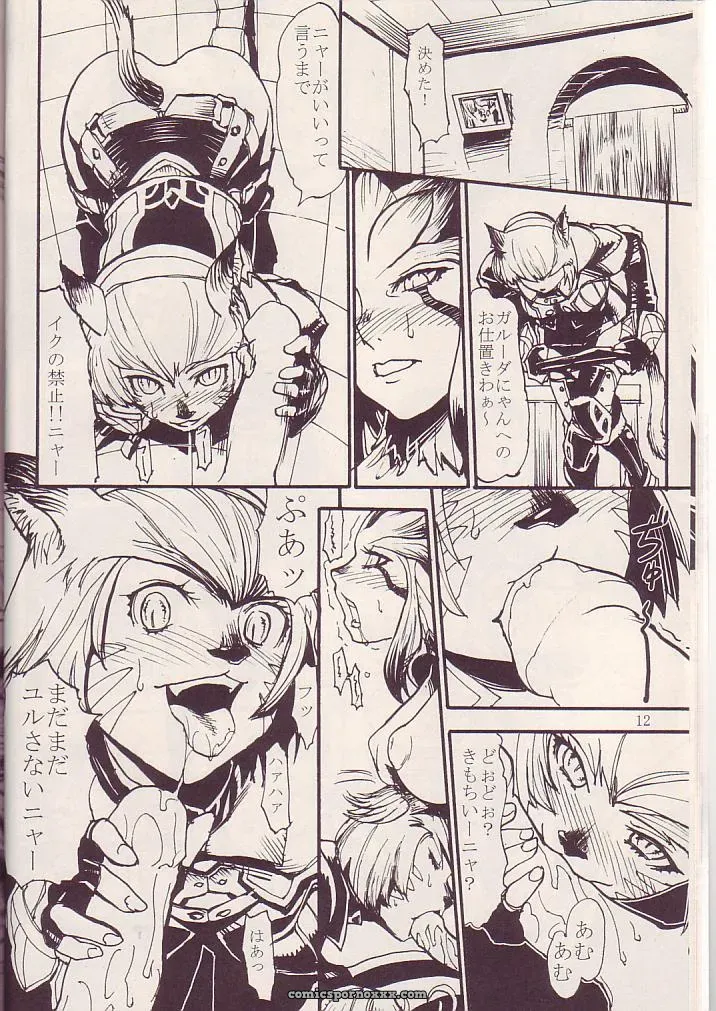Kuroshiki Vol. 3 Final Fantasy XI Fucking Epic - Page 11