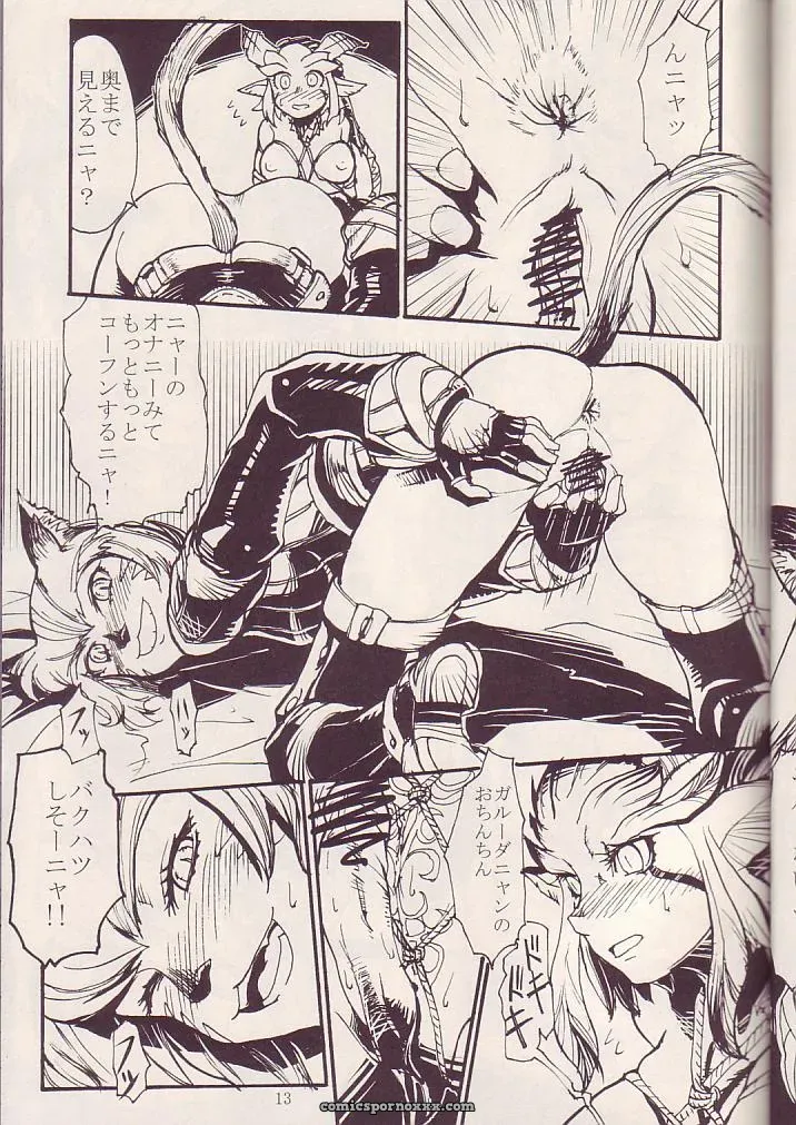 Kuroshiki Vol. 3 Final Fantasy XI Fucking Epic - Page 12