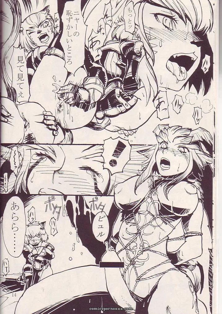 Kuroshiki Vol. 3 Final Fantasy XI Fucking Epic - Page 13