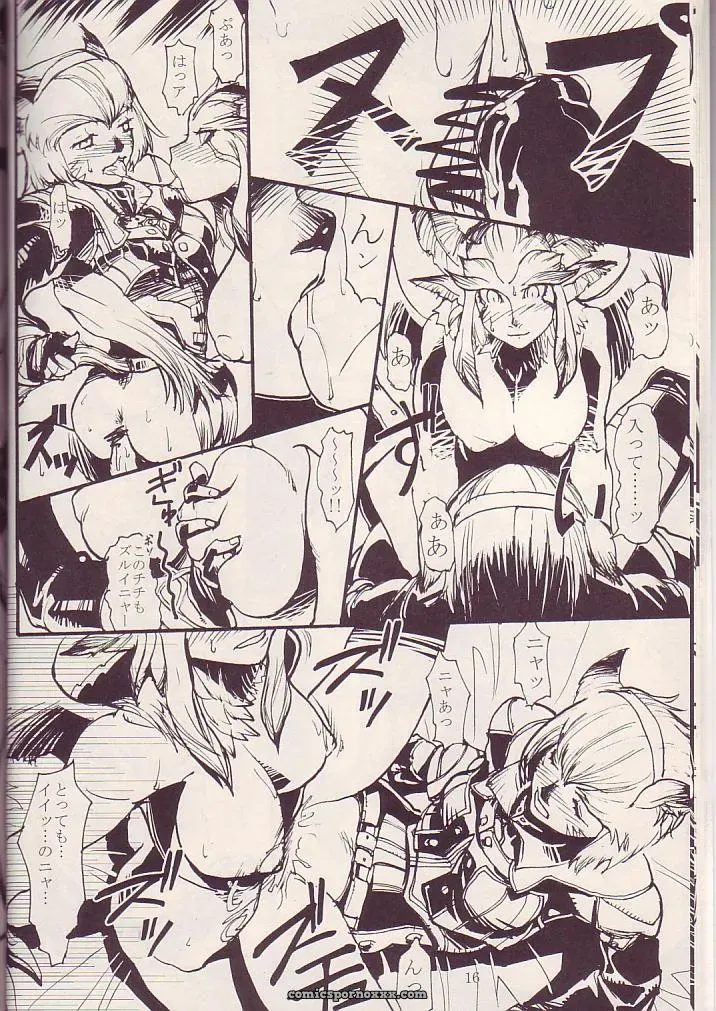 Kuroshiki Vol. 3 Final Fantasy XI Fucking Epic - Page 15