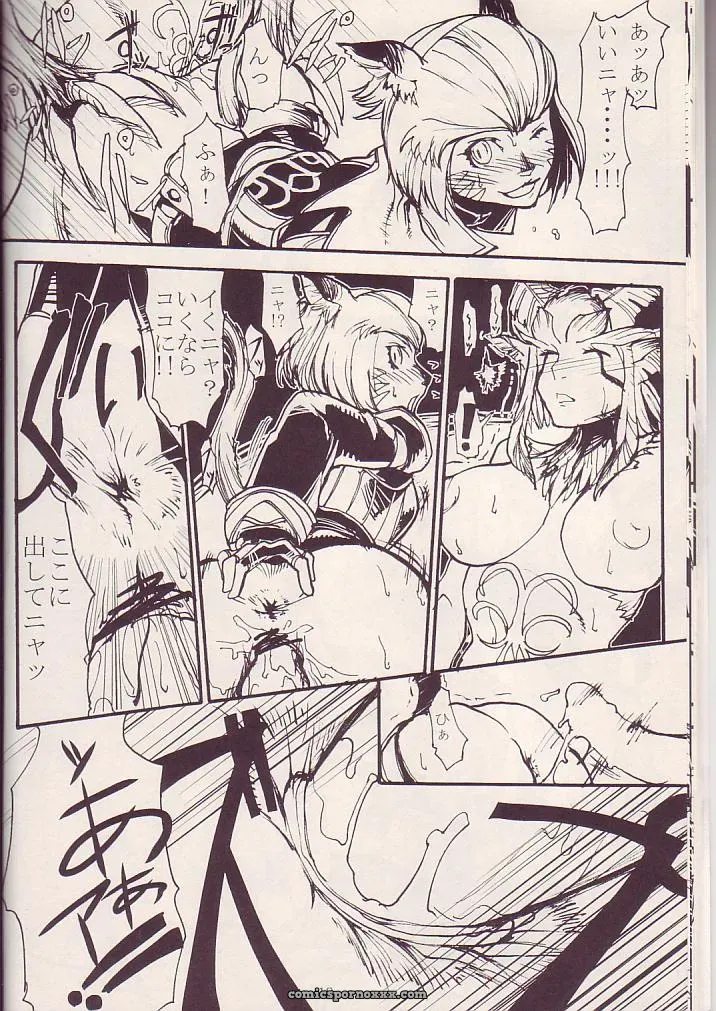Kuroshiki Vol. 3 Final Fantasy XI Fucking Epic - Page 17