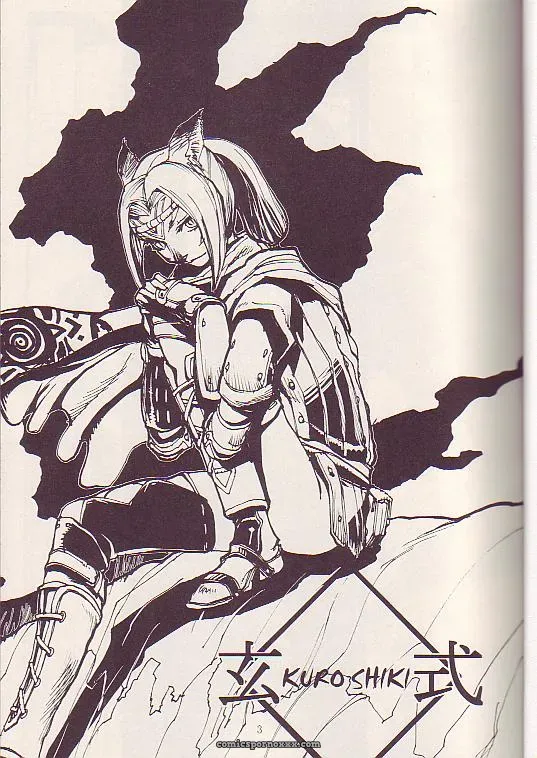 Kuroshiki Vol. 3 Final Fantasy XI Fucking Epic - Page 2