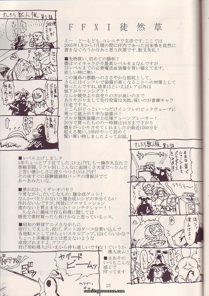 Kuroshiki Vol. 3 Final Fantasy XI Fucking Epic - Page 25