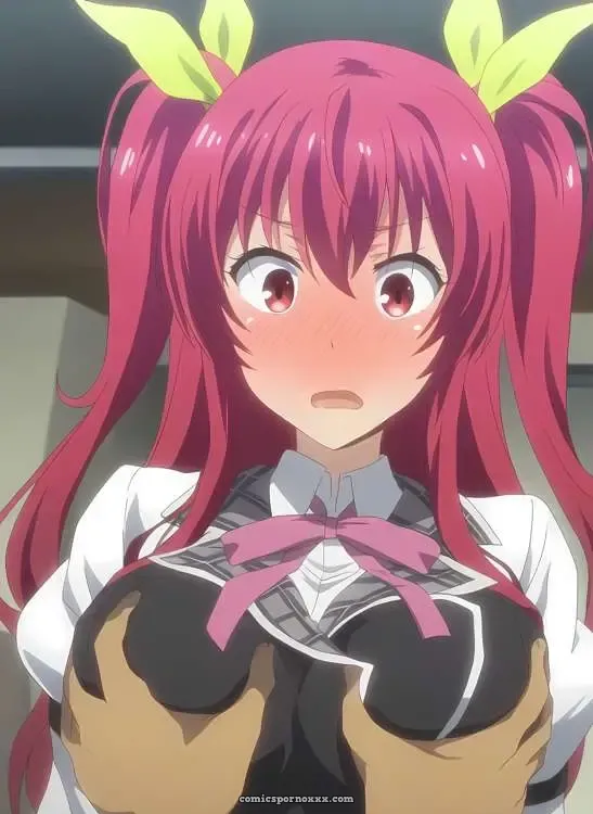 Stella Vermillion Fucked By School Teacher – Rakudai Kishi No Cavalry Hentai - Page 2