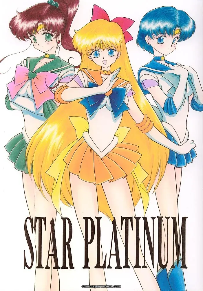 Black Dog vs Star Platinum: Bishoujo Senshi Sailor Moon - Page 1