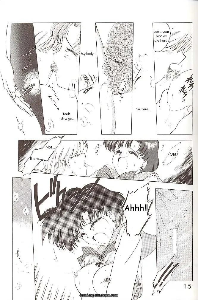 Black Dog vs Star Platinum: Bishoujo Senshi Sailor Moon - Page 14