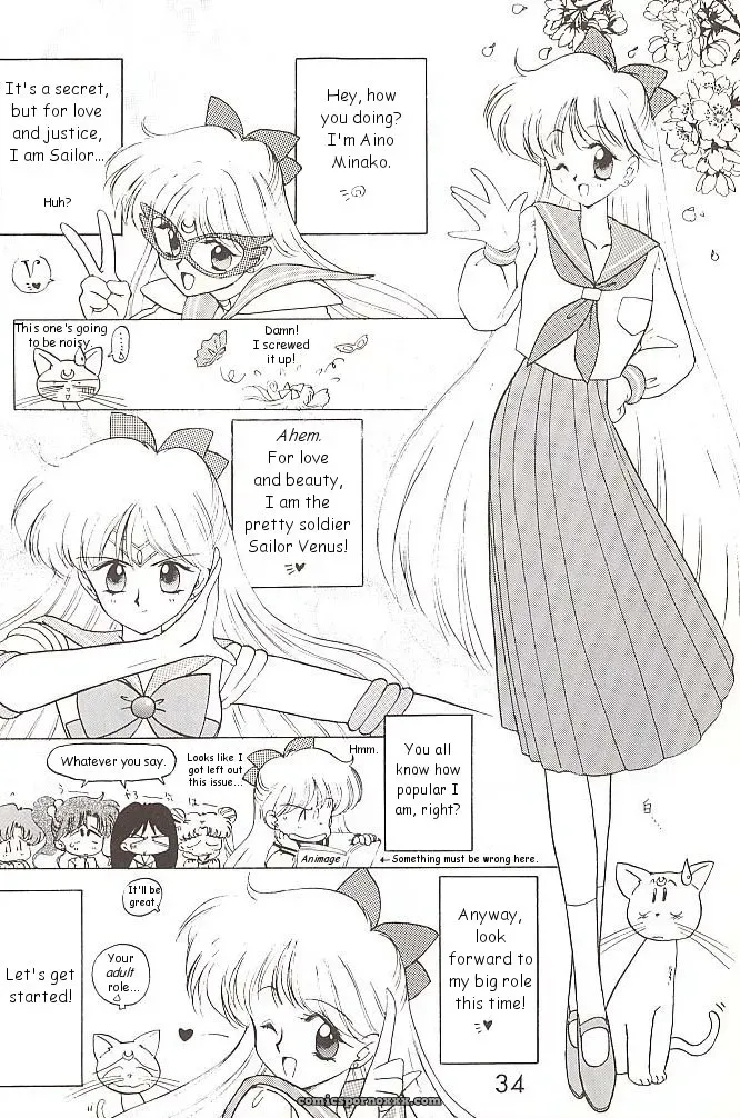 Black Dog vs Star Platinum: Bishoujo Senshi Sailor Moon - Page 33