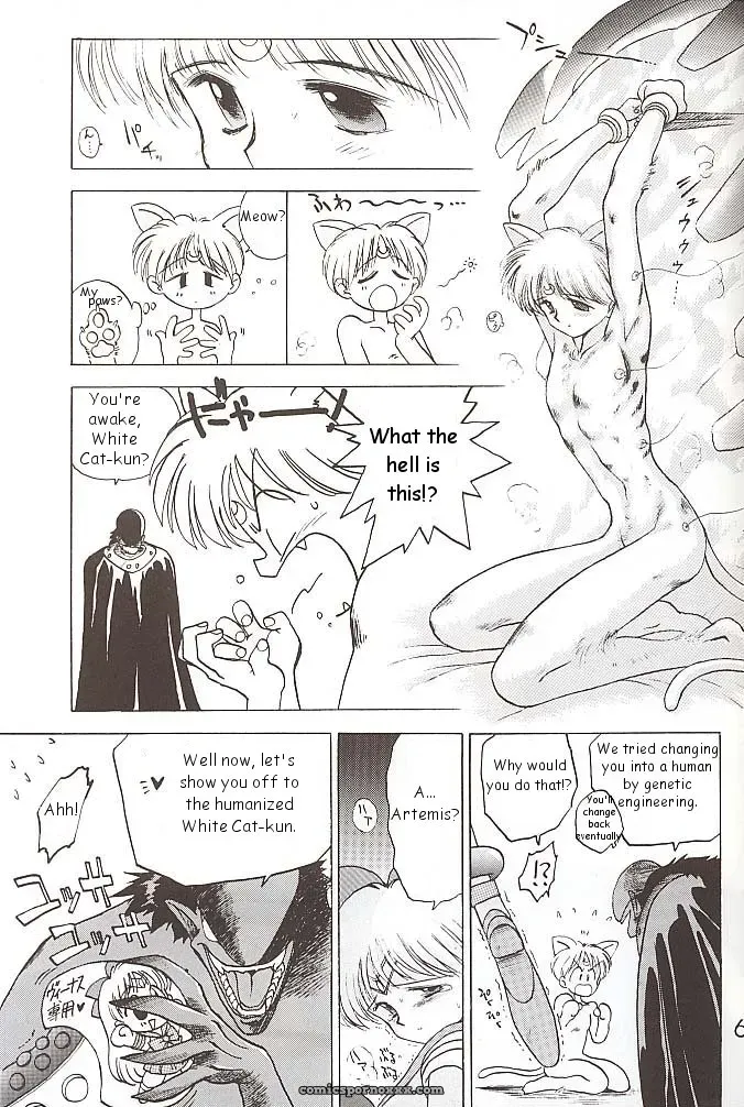 Black Dog vs Star Platinum: Bishoujo Senshi Sailor Moon - Page 62