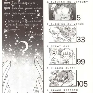 Black Dog vs Star Platinum: Bishoujo Senshi Sailor Moon - Page 3