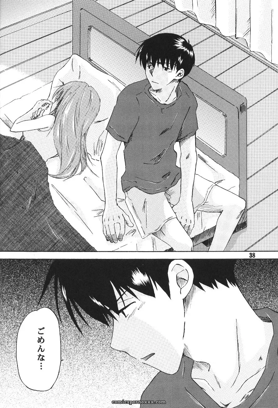 Mikan-bako’s Loving Embrace: Evangelion W R #3 Fanfic Analysis - Page 38