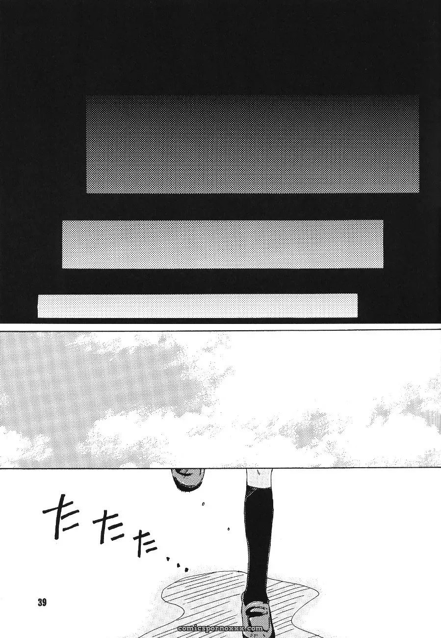 Mikan-bako’s Loving Embrace: Evangelion W R #3 Fanfic Analysis - Page 39