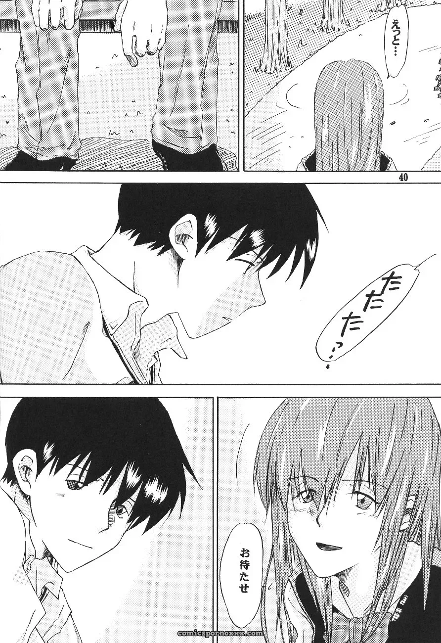 Mikan-bako’s Loving Embrace: Evangelion W R #3 Fanfic Analysis - Page 40