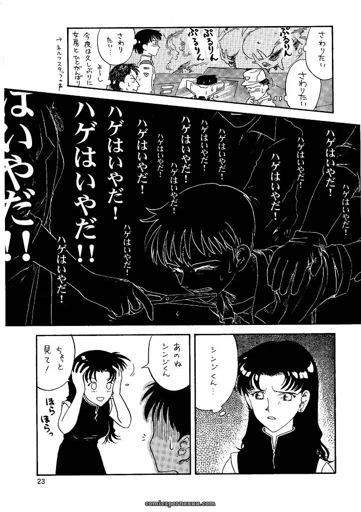 Naschbe (Choukyuuten, Fuyuno Pin) – Shin Seiki Evangelion Fan Art - Page 23