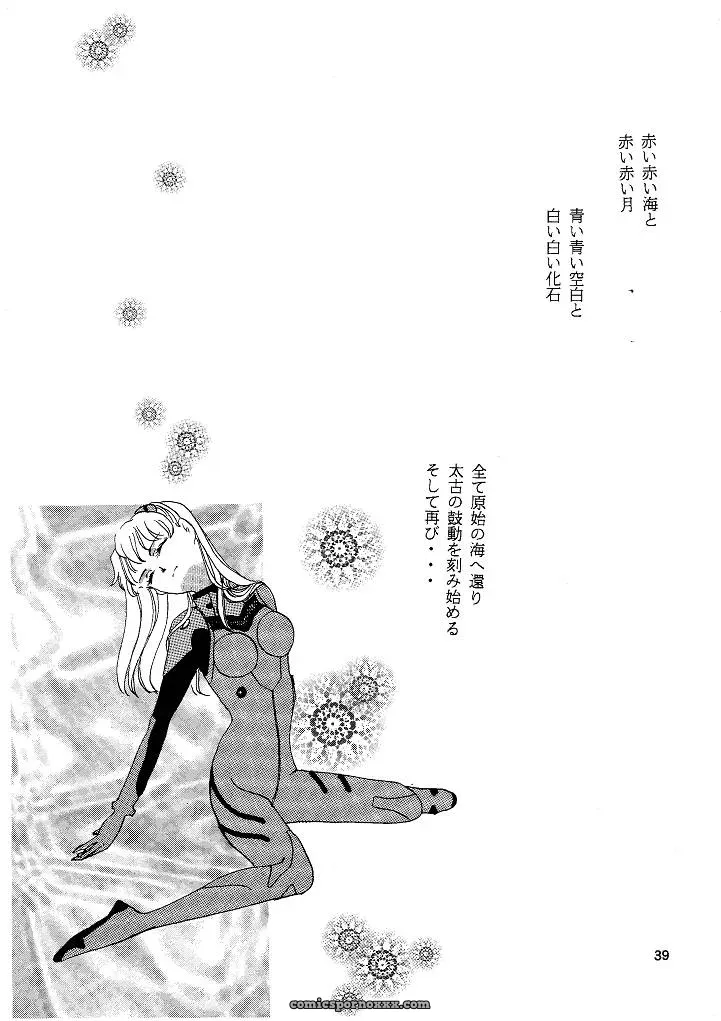 Naschbe (Choukyuuten, Fuyuno Pin) – Shin Seiki Evangelion Fan Art - Page 39
