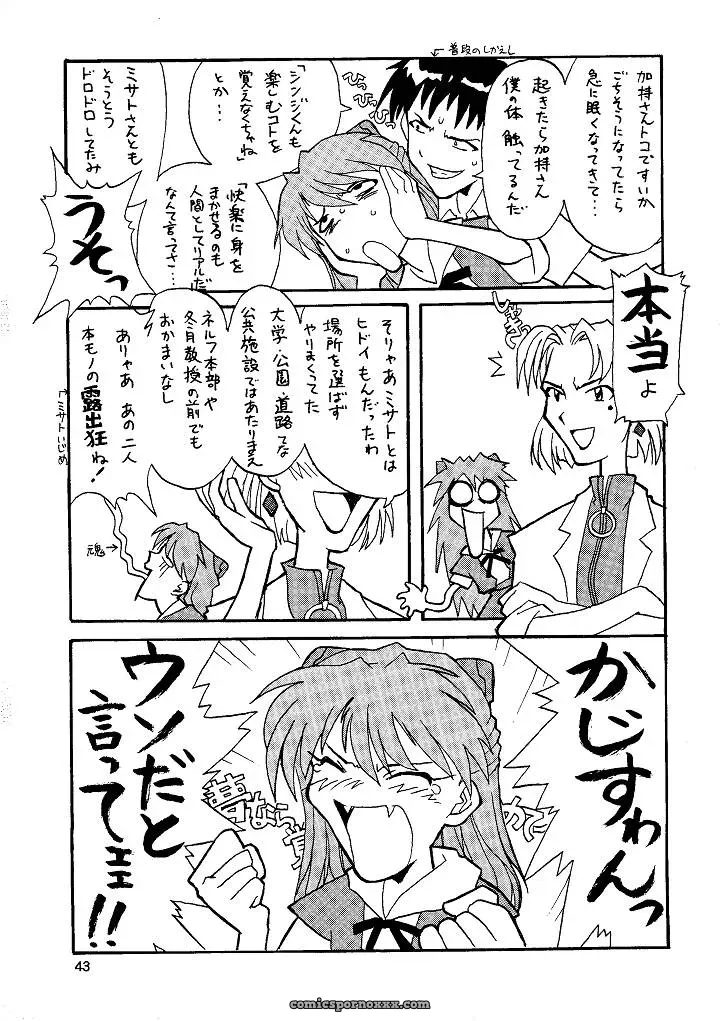 Naschbe (Choukyuuten, Fuyuno Pin) – Shin Seiki Evangelion Fan Art - Page 43